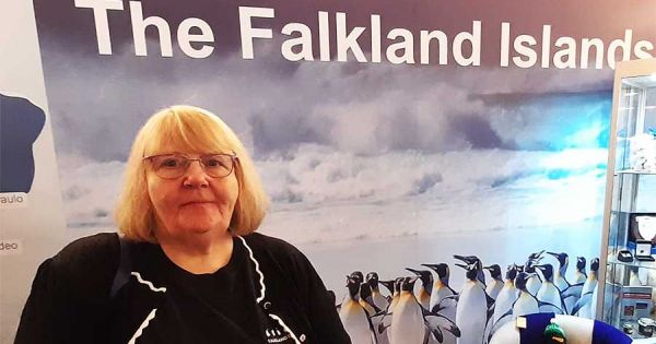 Malvinas, tourism season with special protection for penguin colonies — MercoPress