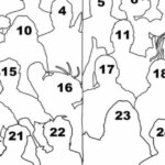 Artificial Intelligence “pays the price” and only recognizes two characters in CONMEBOL art