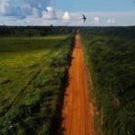 NGOs will take legal action against overturning the veto of environmental licenses