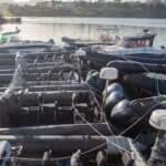 Hit Tabby and Scorpio, the drug lords