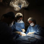 A test performed in seconds improves sepsis treatment – 11/30/2025 – Equilibrio e Saúde