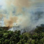 PL da Devastação is the biggest setback in more than four decades – 11/28/2025 – Txai Suruí