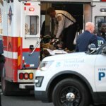 Two National Guard soldiers were killed and wounded in a shooting near the White House