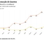 Bee attacks escalate dramatically in DF; In Asa Sol, 3 people were injured