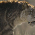 The series offers the best recreation of ice age giants – 11/29/2025 – Reynaldo Jose Lopez