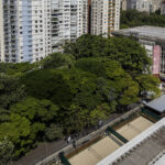 Nunus Administration: Stopping Tree Cutting in Hebrew – 11/29/2025 – Daily Life