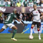 With either Palmeiras or Flamengo, Brazil will equal Argentina in winning the Copa Libertadores; See all heroes