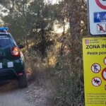The government requests army intervention in the swine fever crisis after more wild boars were found dead in the same Barcelona area