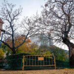 The mother of one of the teenagers who died in Jian went out into the street to look for her:  "Annoying message" It worried her