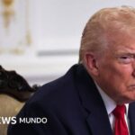 Trump and his government announce the paralysis of immigration to the United States from “Third World” countries and a review of green cards for 19 nationalities.