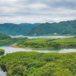 Initiatives that protect and transform the environment