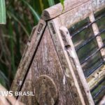 What are Ward’s ingenious funds and how have they transformed the global economy?