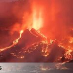 The new theory that finally explains it