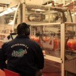 What jobs do you want to fill and how to apply?