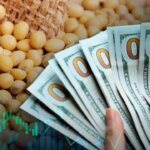 Europe has postponed a regulation that could affect exports worth US$1,000 million