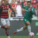 Palmeiras and Flamengo are seeking to be the first Brazilian quartet in the Libertadores to expand their dominance
