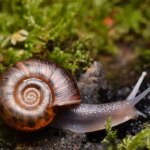 Everything you need to know before you start