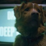 Filmin sets the date for the arrival of the horror film that took this year by storm with its canine point of view