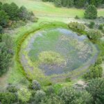 An exotic journey through the nature of Burgos