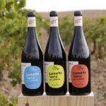 Do you know the new Garnacha from Cariñena? A young, interesting and lively wine with a temperature of only 11 degrees