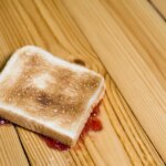 Teresa Arnandez, a biochemist, dismantled the three-second rule when food falls on the floor with an experiment