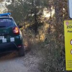 The state of Catalonia requests the deployment of UME in the face of a swine fever outbreak after eight more wild boars were found dead