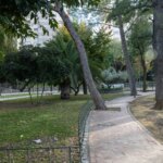 At dawn near the library and without signs of violence