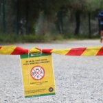 The government will fine people arriving in Collserola due to cases of wild boars killed by African swine fever
