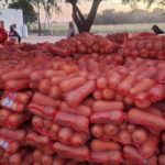 After opening the market for watermelons, Uruguay now exports Anko squash