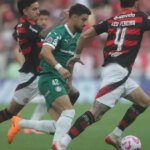 How Palmeiras and Flamengo built their rule in the Libertadores and ruled the continent