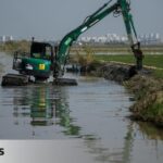 A worker dies after being trapped between two machines after some post-mortem work