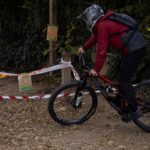 The government organizes the capture of potentially swine fever-infected wild boars in Collserola | News from Catalonia