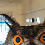 They are investigating the death of one of them due to possible poisoning