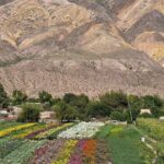 An Argentine city was chosen as the best city in the world in 2025