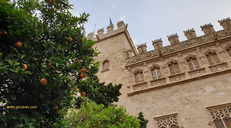 A postcard from Valencia – Oranges & Sunshine in Spain