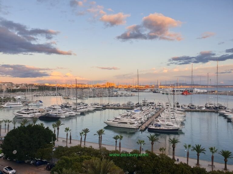 Marina-Harbour-in-Palma-de-Mallorca-Spain-min.jpg