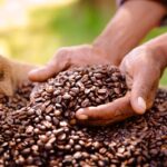 Coffee diplomacy and the politicization of coffee