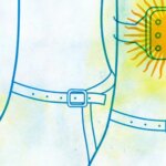 Jorge Fernandez Diaz: Aftermath of the Argentine Watergate Scandal