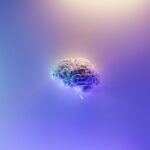 The chemical explosion that revealed science