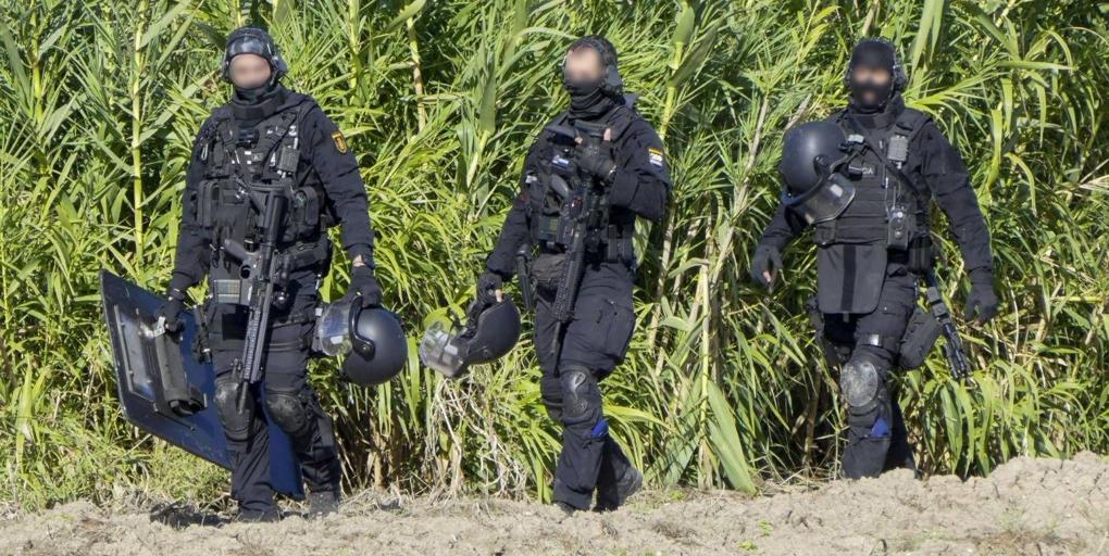 agentes-especializados-islamayor-ktjE-U53620250322oIX-1024x512@diario_abc.jpg
