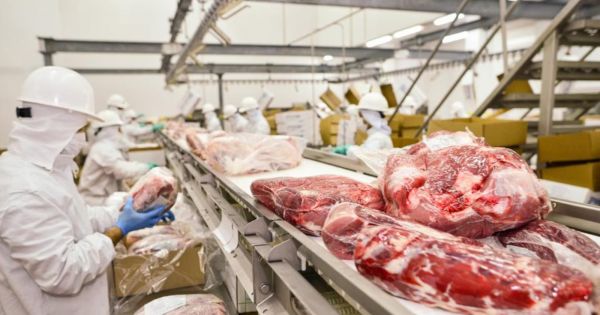Beef exports grow after third quarter – MercoPress