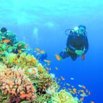 Innovation expands the horizons of recreational diving
