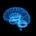 Eternal adolescence: The study indicates that this stage extends until the age of 32 years