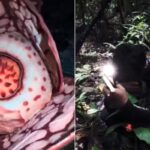 He searched for an extremely rare flower for more than 10 years and cried when he found it in Indonesia