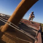 Exchange and tax policy prevent improving the competitiveness of the sector