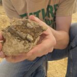 Teenager discovers 150-million-year-old dinosaur remains during school project: ‘I was so excited’