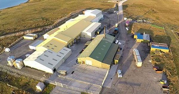 Falklands, meatpacking company looking for a new general manager — MercoPress