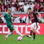 Remember the campaigns of Palmeiras and Flamengo in the Libertadores