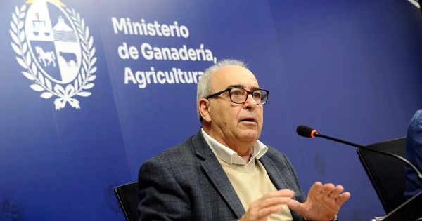 Uruguay explores Mexican markets to boost agricultural exports – MercoPress