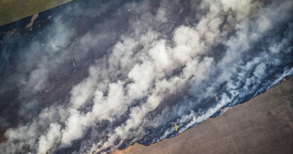 They predict that La Niña will affect Uruguayan agriculture — MercoPress